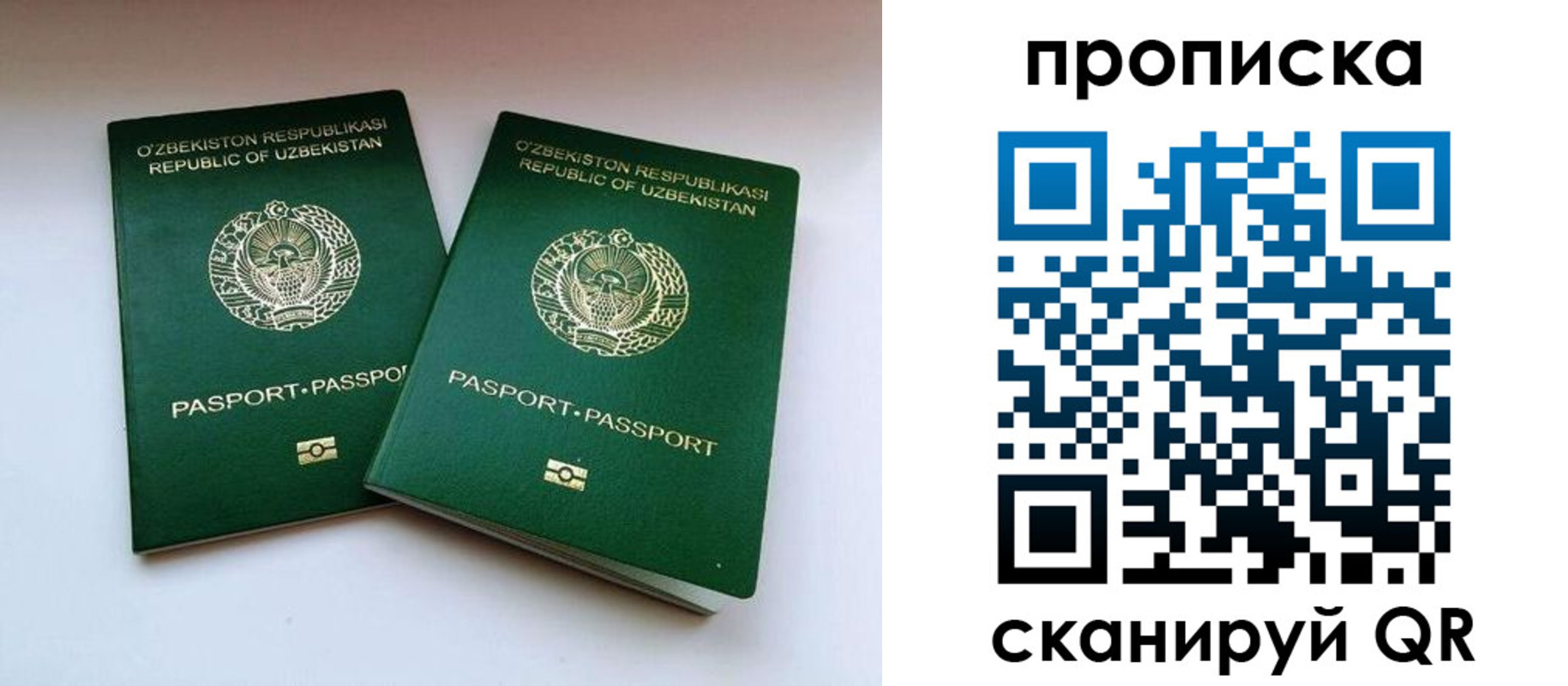 прописка поиск в Галиче